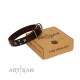 "Bigwig Woof" FDT Artisan Brown Leather Dog Collar with Chrome Plated Stars and Square Studs