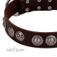 "High and Mighty" FDT Artisan Classy Brown Leather Dog Collar with Embellished Brooches