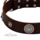 "Magic Stones" FDT Artisan Brown Leather Dog Collar with Chrome Plated Brooches and Studs