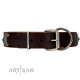 "Magic Stones" FDT Artisan Brown Leather Dog Collar with Chrome Plated Brooches and Studs