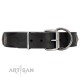 "Ad Infinitum" Durable FDT Artisan Black Leather Dog Collar with Chrome Plated Brooches