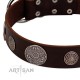"Flashy Woof" FDT Artisan Brown Leather Dog Collar with Chrome Plated Brooches
