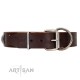 "Nut-Brown Finery" Embellished FDT Artisan Brown Leather Dog Collar with Chrome Plated Crossbones and Plates