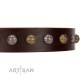 "Gape Buster" FDT Artisan Brown Leather Dog Collar with One Row of Studs