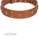 "Dreamy Gleam" FDT Artisan Tan Leather Dog Collar Adorned with Stars and Squares