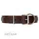 "Silver Sunset" Designer Handmade FDT Artisan Brown Leather Dog Collar