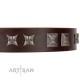 "Needle Stories" Modern FDT Artisan Brown Leather Dog Collar with Square Engraved Plates and Four-Point Stars