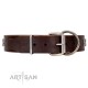 "Needle Stories" Modern FDT Artisan Brown Leather Dog Collar with Square Engraved Plates and Four-Point Stars