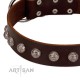 "Lucky Silver" Designer Handmade FDT Artisan Brown Leather Dog Collar