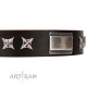 "Satin Beauts" FDT Artisan Brown Leather Dog Collar with Stars and Plates