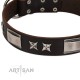 "Satin Beauts" FDT Artisan Brown Leather Dog Collar with Stars and Plates