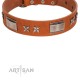 "Sweet Biscuit" FDT Artisan Tan Leather Dog Collar with Stars and Plates