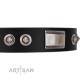 "Grand Wear" FDT Artisan Black Leather Dog Collar with Shining Plates and Spiked Studs
