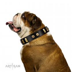 "Rare Dog" FDT Artisan Black Leather Dog Collar with Old Bronze-like Dotted Studs and Tiles