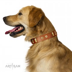 "Egyptian Script" FDT Artisan Tan Leather Dog Collar with Plates and Small Studs