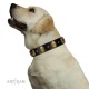 "Doggie Woggie" Designer Handmade FDT Artisan Black Leather Dog Collar with Ovals and Studs