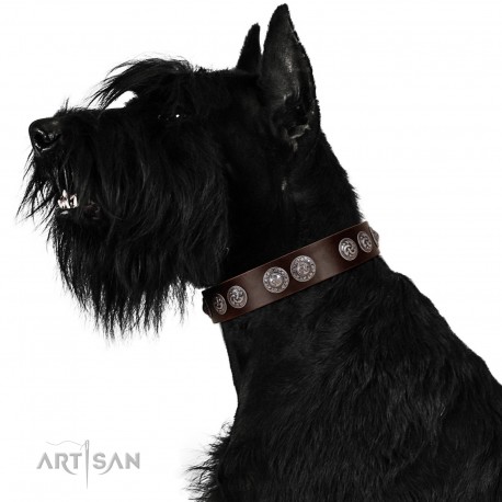 "High and Mighty" FDT Artisan Classy Brown Leather Dog Collar with Embellished Brooches
