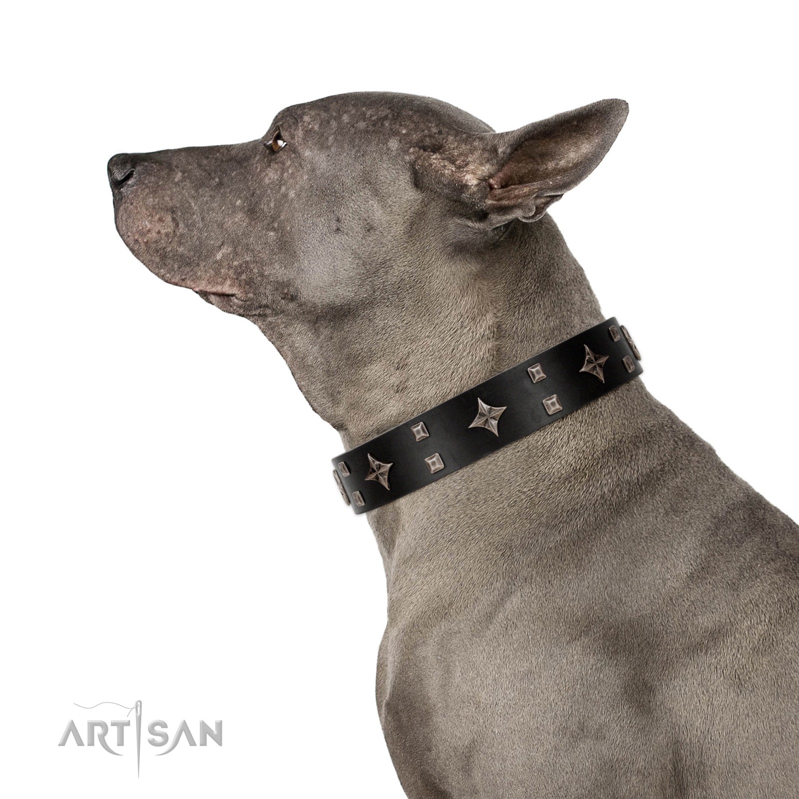 Snappy Dresser Fdt Artisan Black Leather Dog Collar Adorned With