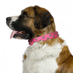 "Pink Daisy" Designer Handmade FDT Artisan Pink Leather Dog Collar