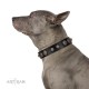 "Tricky Ricky" FDT Artisan Black Leather Dog Collar Adorned with Silver-Like Conchos