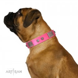 "Pink Blush" Premium Quality FDT Artisan Pink Designer Dog Collar with Plates and Studs