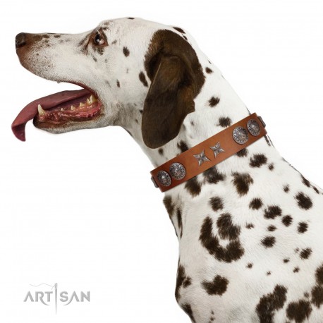 "Splendid Armor" Premium Quality FDT Artisan Tan Designer Dog Collar with Shields and Stars