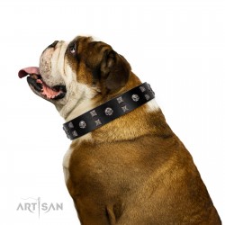 "Fire Eyes" Designer Handmade FDT Artisan Black Leather Dog Collar