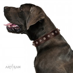 "Lucky Silver" Designer Handmade FDT Artisan Brown Leather Dog Collar