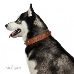 "Heroic Deeds" Designer Handmade FDT Artisan Tan Leather Dog Collar