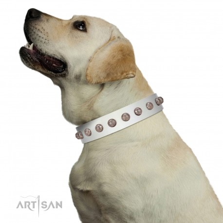 "Grandeur Dog" FDT Artisan White Leather Dog Collar with Engraved Studs