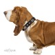 "Pitch Dark" FDT Artisan Black Leather Dog Collar with Stars and Plates