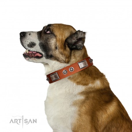 "Pawsy Glossy" FDT Artisan Exclusive Tan Leather Dog Collar 1 1/2 inch (40 mm) wide