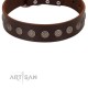 "Starry-Eyed" Best Quality FDT Artisan Brown Designer Dog Collar with Small Plates