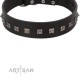 "Natural Beauty" Premium Quality FDT Artisan Black Designer Dog Collar with Dotted Studs