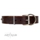 "Kingly Grace" FDT Artisan Brown Leather Dog Collar with Silver-like Dotted Studs