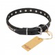 Leather Dog Collar with Chrome Plated Decor - Refined Classic" Handcrafted by Artisan"