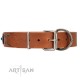"Blue Sands" FDT Artisan Tan Leather Dog Collar with Silver-like Studs and Round Conchos with Stones
