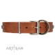 "Road Rider" FDT Artisan Tan Leather Dog Collar with Old Silver-like Skulls and Medallions