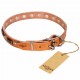 Leather Dog Collar with Chrome-plated Decor - Supreme Elegance" Handcrafted by Artisan"