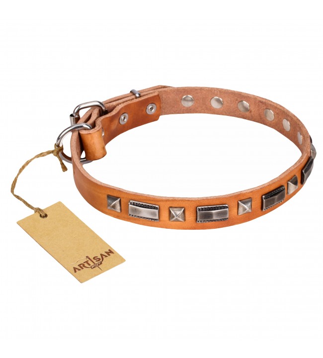 Leather Dog Collar with Chrome-plated Decor - Supreme ...
