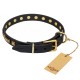 Leather Dog Collar with Brass Decor - "Golden Elegance" Handcrafted by Artisan