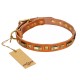 Leather Dog Collar with Brass Decor - Golden Elegance" Handcrafted by Artisan"