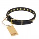 Leather Dog Collar with Brass Decor - Golden Classic" Handcrafted by Artisan"