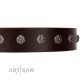 "Graceful Classic" Mod FDT Artisan Brown Leather Dog Collar