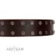 "Star Party" Handmade FDT Artisan Brown Leather Dog Collar with Silver-Like Studs