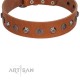 "Silver Age" Fashionable FDT Artisan Tan Leather Dog Collar with Silver-Like Studs