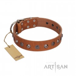 "Silver Age" Fashionable FDT Artisan Tan Leather Dog Collar with Silver-Like Studs