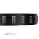 "Black Prince" Handmade FDT Artisan Black Leather Dog Collar with Silver-Like Adornments