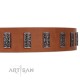 "Silver Century" Fashionable FDT Artisan Tan Leather Dog Collar with Silver-Like Plates