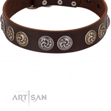 "Treasure Hunter" FDT Artisan Brown Leather Dog Collar with Old-Bronze-like and Silvery Medallions